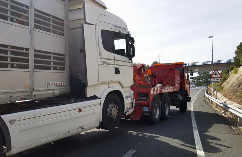 Asistencia de vehículos en carretera